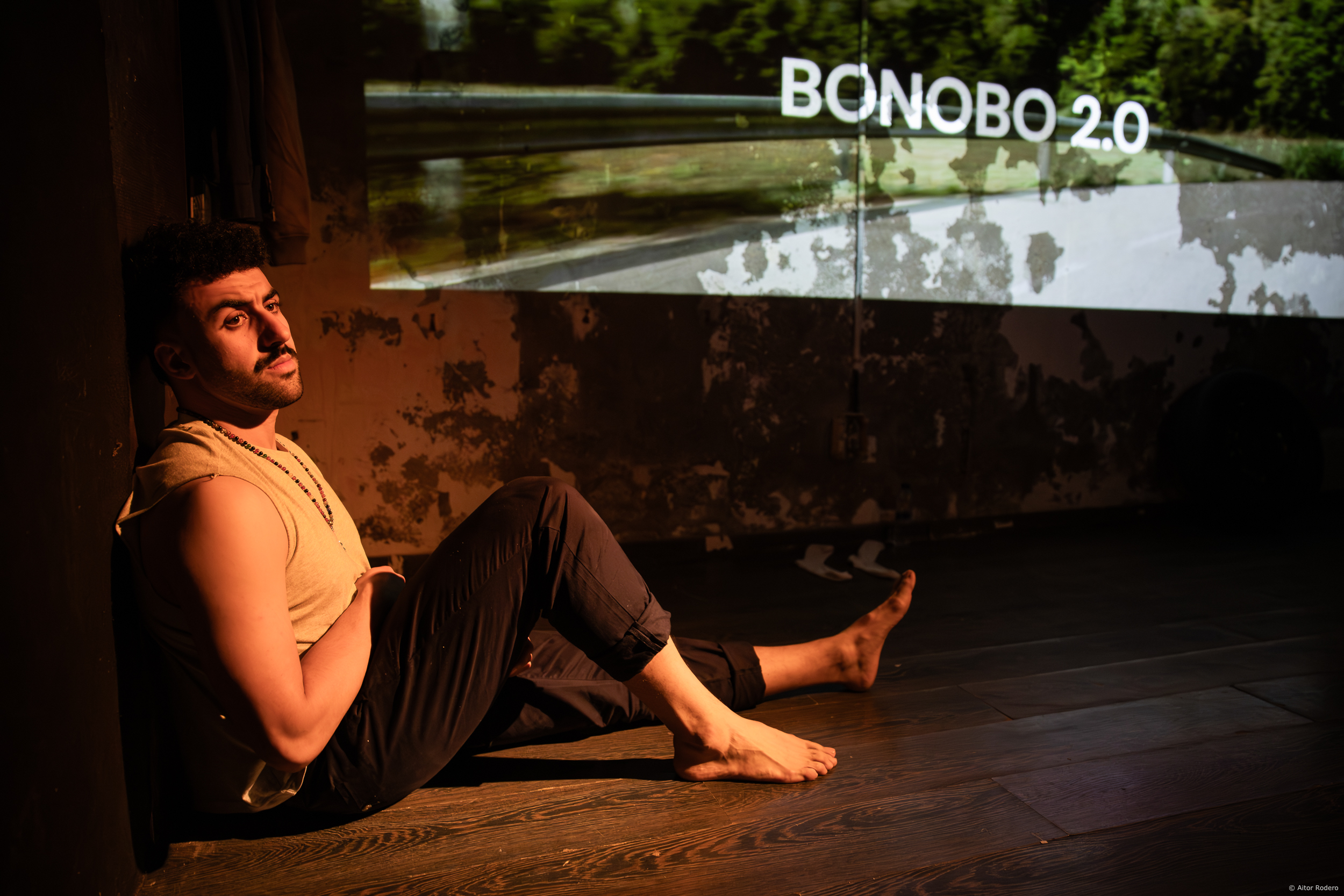 D.O. LA SELVA - BONOBO 2.0